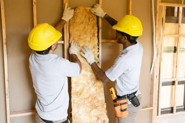 Best Insulation Air Sealing  in Hazen, AR