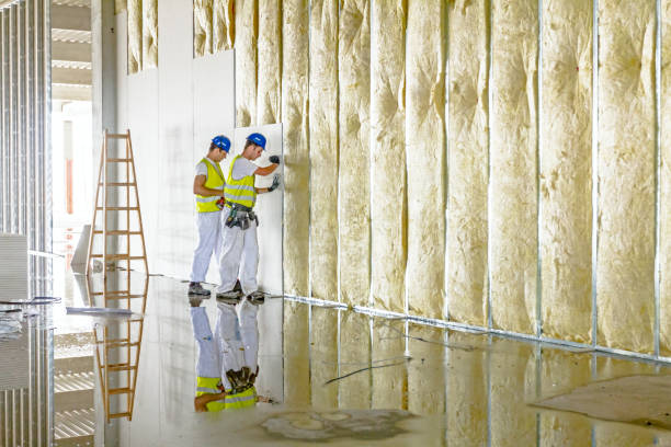 Best Insulation for Metal Buildings  in Hazen, AR