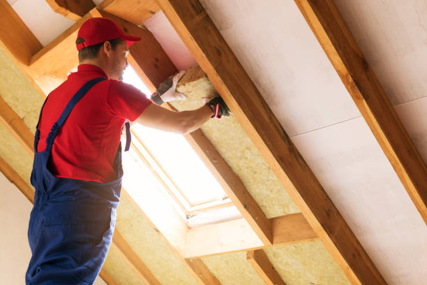 Best Basement Insulation  in Hazen, AR